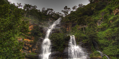cover-image